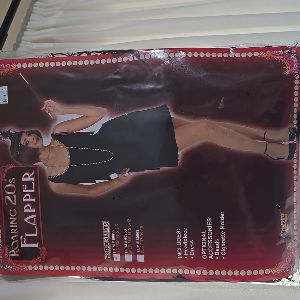 Roaring 20's Black Flapper Dress and Accessories